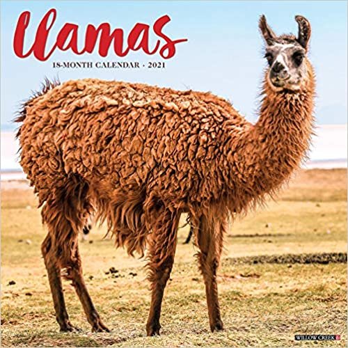 okumak Llamas 2021 Calendar