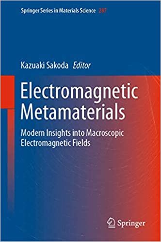 okumak Electromagnetic Metamaterials: Modern Insights into Macroscopic Electromagnetic Fields (Springer Series in Materials Science (287), Band 287)