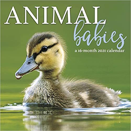 okumak Animal Babies Calendar