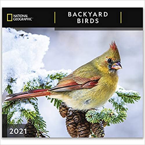 okumak National Geographic Backyard Birds 2021 Wall Calendar