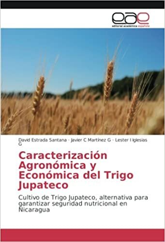 okumak Caracterización Agronómica y Económica del Trigo Jupateco: Cultivo de Trigo Jupateco, alternativa para garantizar seguridad nutricional en Nicaragua