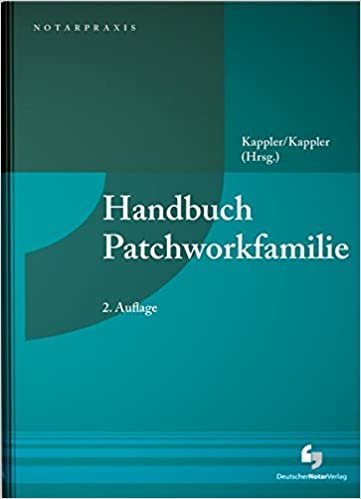 okumak Buchholz-Graf, N: Handbuch Patchworkfamilie