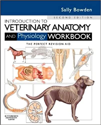 okumak Introduction to Veterinary Anatomy and Physiology Workbook