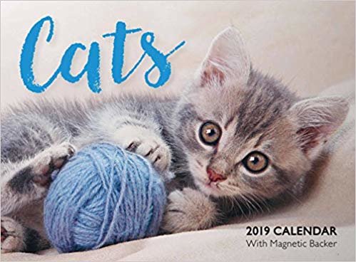 okumak Cats Mini B 2019