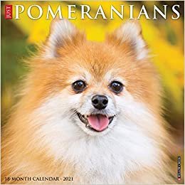okumak Just Pomeranians 2021 Calendar