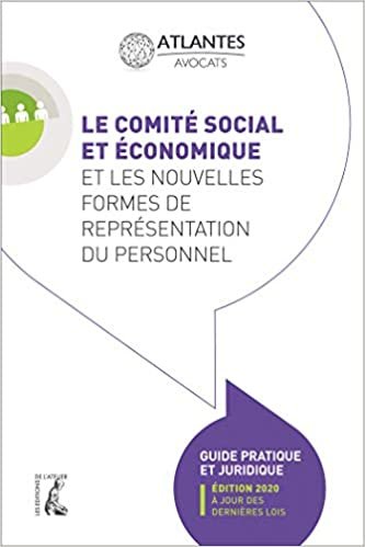 okumak Le comité social et économique et les nouvelles formes de représentation du personnel: Guide pratique (édition 2020 à jour des dernières lois) (SCIENCES HUM HC)