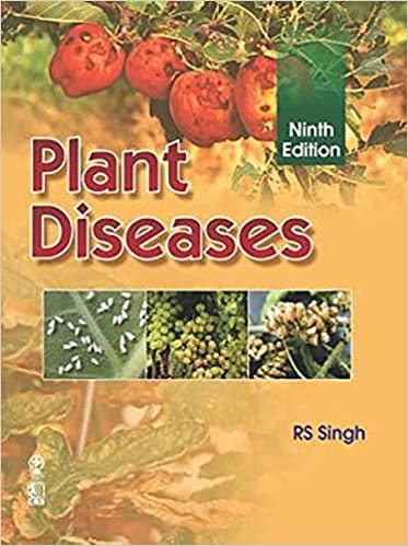 okumak Plant Diseases