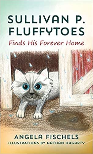 okumak Sullivan P. Fluffytoes Finds His Forever Home