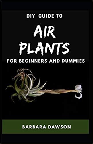 okumak DIY Guide To Air Plants For Beginners and Dummies