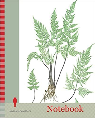 okumak Notebook: A-B. Asplenium Adiantum-nigrum. C-D. A. Adiantum-nigrum obtusum. The black maidenhair spleenwort, Bradbury, Henry Riley (1821-1887), (Illustrator), ferns of Great Britain and Ireland