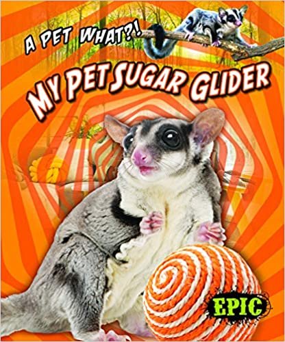 okumak My Pet Sugar Glider (Pet What?!)