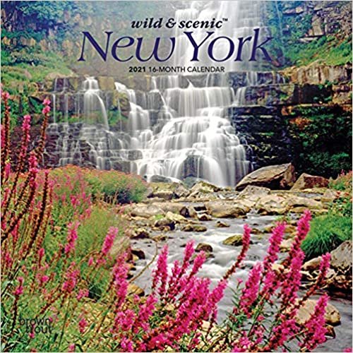 okumak Wild &amp; Scenic New York 2021 Calendar