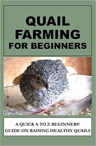 okumak Quail Farming For Beginners: A Quick A To Z Beginners Guide On Raising Healthy Quails