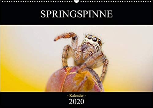 okumak Daniel Fotografie, D: Springspinne Kalender 2020 (Wandkalend