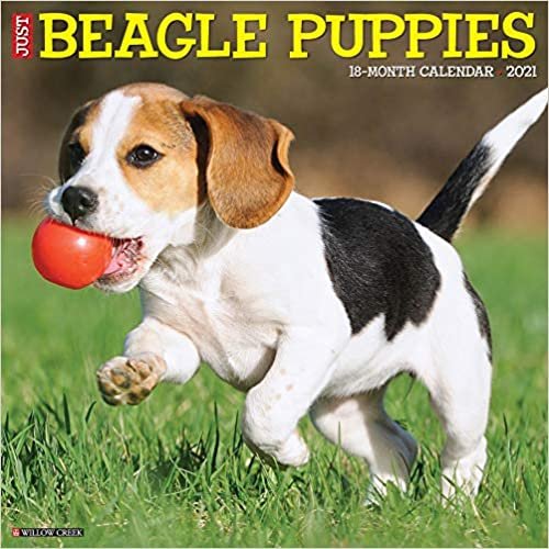 okumak Just Beagle Puppies 2021 Calendar