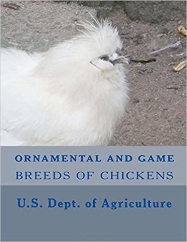 okumak Ornamental and Game Breeds of Chickens
