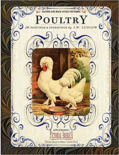 okumak Poultry: 26 Paintings and Engravings by J. W. Ludlow