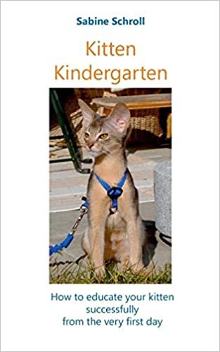 Kitten Kindergarten (إصدار ألماني)