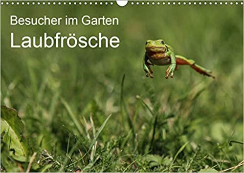 okumak Besucher im Garten - Laubfrösche (Wandkalender 2021 DIN A3 quer): Laubfrösche - Grüne Freunde und sommerliche Begleiter (Monatskalender, 14 Seiten )