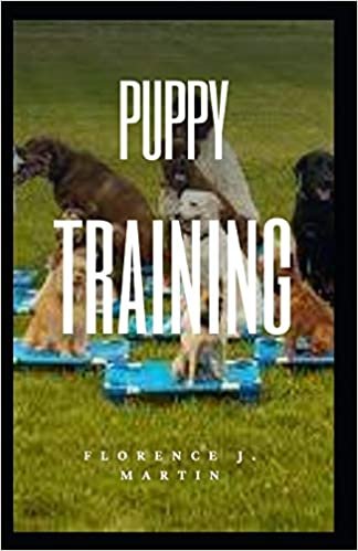 okumak Puppy Training: The foundation of training should be based on positive reinforcement.