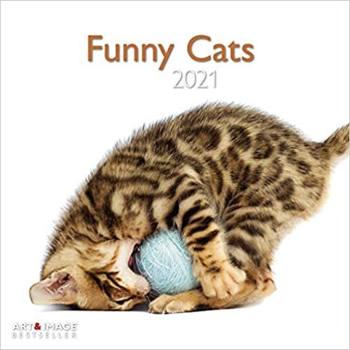 okumak Funny Cats 2021 - Wand-Kalender - Broschüren-Kalender - A&amp;I - 30x30 - 30x60 geöffnet