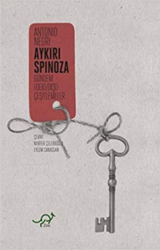 okumak Aykırı Spinoza: Gündem (Deki / Dışı) Çeşitlemeler