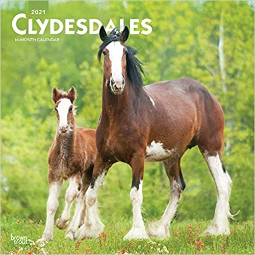 okumak Clydesdales - Clydesdale Pferde 2021- 16-Monatskalender: Original BrownTrout-Kalender [Mehrsprachig] [Kalender] (Wall-Kalender)