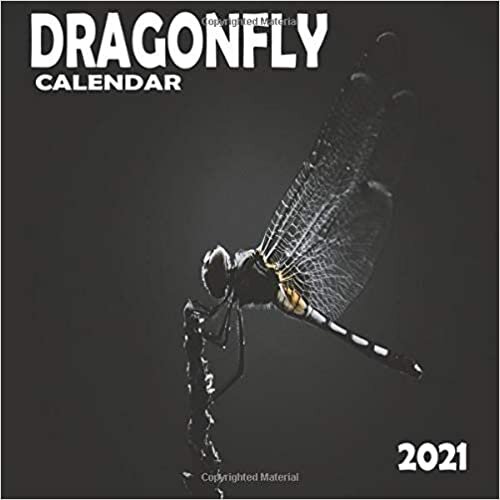okumak Dragonfly Calendar 2021: 16 Month Mini Wall Or Desk Calendar For Office, Home Or School