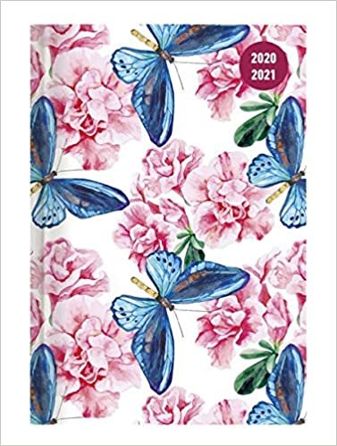 okumak Collegetimer Butterfly 2020/2021 - Schüler-Kalender A6 (10x15 cm) - Schmetterling - Weekly - 224 Seiten - Terminplaner - Alpha Edition (Collegetimer A6 Weekly)