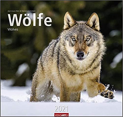 okumak Wölfe - Kalender 2021