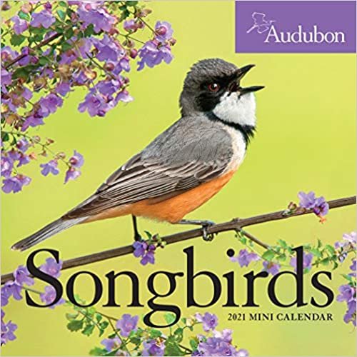 okumak Audubon Songbirds 2021 Calendar