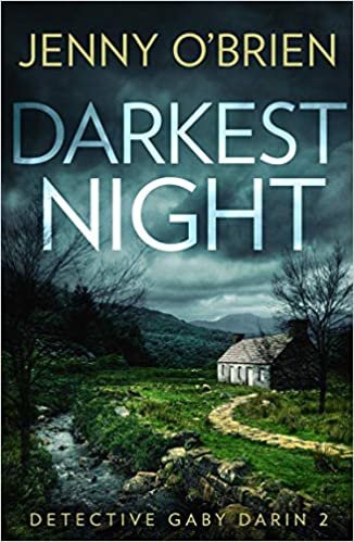 okumak Darkest Night (Detective Gaby Darin, Band 2)