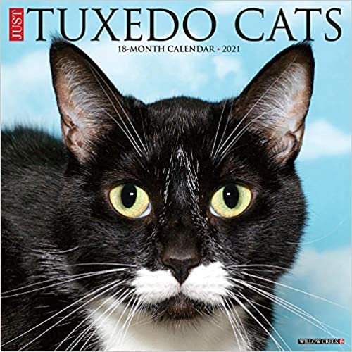 okumak Just Tuxedo Cats 2021 Calendar