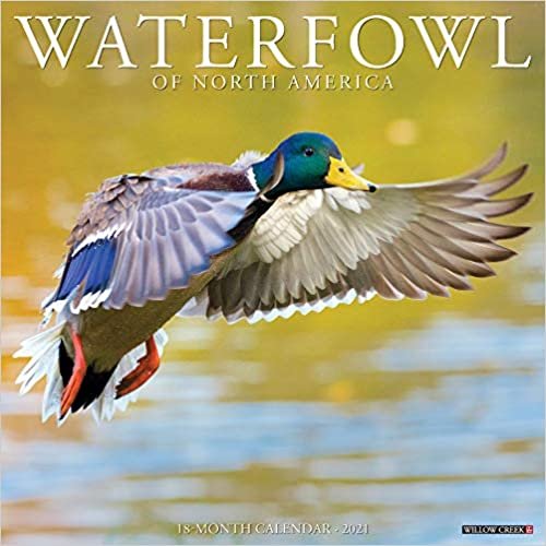 okumak Waterfowl 2021 Calendar