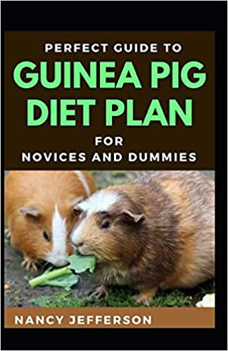 okumak Perfect Guide To Guinea Pigs Diet Plan For Novices And Dummies: Delectable Recipes For Guinea Pig For Staying Healthy And Feeling Good