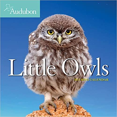 okumak Audubon Little Owls 2021 Calendar