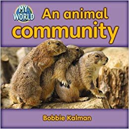 okumak An Animal Community (My World: Series H)