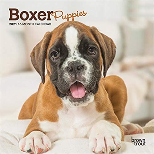 okumak Boxer Puppies 2021 Calendar