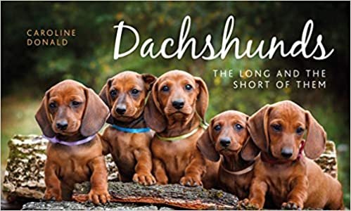 okumak Dachshunds: The Long and the Short of Them