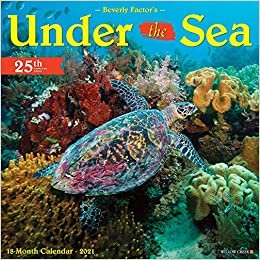 okumak Under the Sea 2021 Calendar