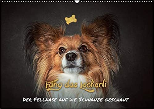 okumak Schöberl, J: Fang das Leckerli! (Wandkalender 2019 DIN A2 qu