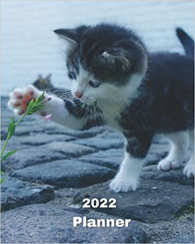 okumak 2022 Planner: Kitten Playing with Flower- 12 Month Weekly and Monthly Planner January 2022 to December 2022 -Monthly Calendar with U.S./UK/ ... 8 x 10 in.- Cats Breed Pets Kittens