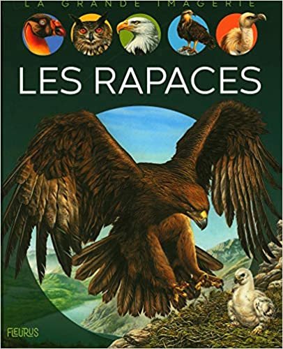 okumak Les rapaces (LA GRANDE IMAGERIE)