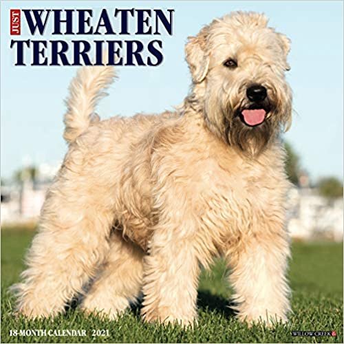 okumak Just Wheaton Terriers 2021 Calendar