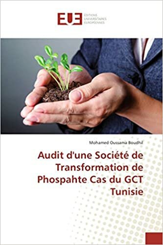 okumak Audit d&#39;une Société de Transformation de Phospahte Cas du GCT Tunisie (Omn.Univ.Europ.)