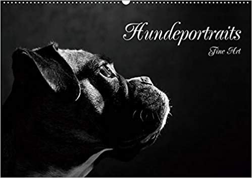okumak Hundeportraits Fine Art (Wandkalender 2021 DIN A2 quer): Hundeportraits in schwarz/weiß (Monatskalender, 14 Seiten )