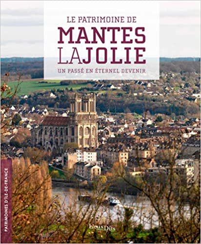 okumak LE PATRIMOINE DE MANTES-LA-JOLIE. Un passé en éter (PATRIMOINES D&#39;ILE DE FRANCE)