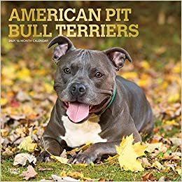 okumak American Pit Bull Terriers 2021 - 16-Monatskalender mit freier DogDays-App: Original BrownTrout-Kalender [Mehrsprachig] [Kalender] (Wall-Kalender)