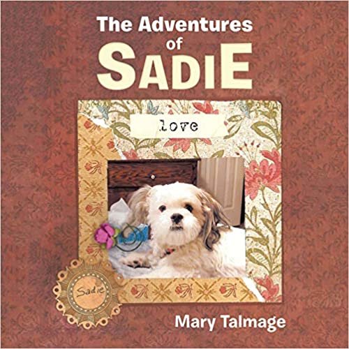 okumak The Adventures of Sadie