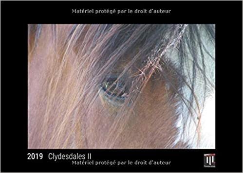 okumak clydesdales ii 2019 edition noire calendrier mural timokrates calendrier photo c